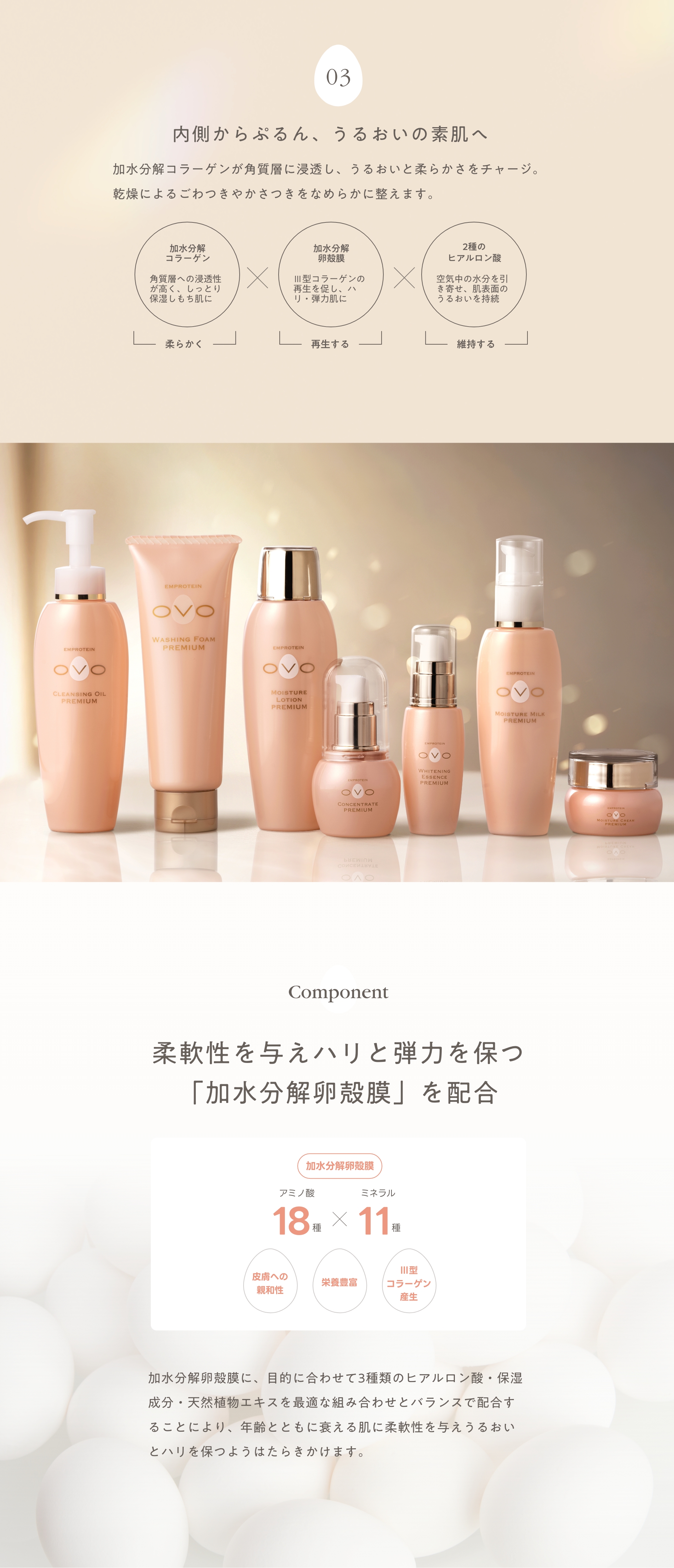 オーヴォ コンセントレートプレミアム│オーヴォ化粧品│OVO化粧品